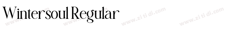 Wintersoul Regular字体转换